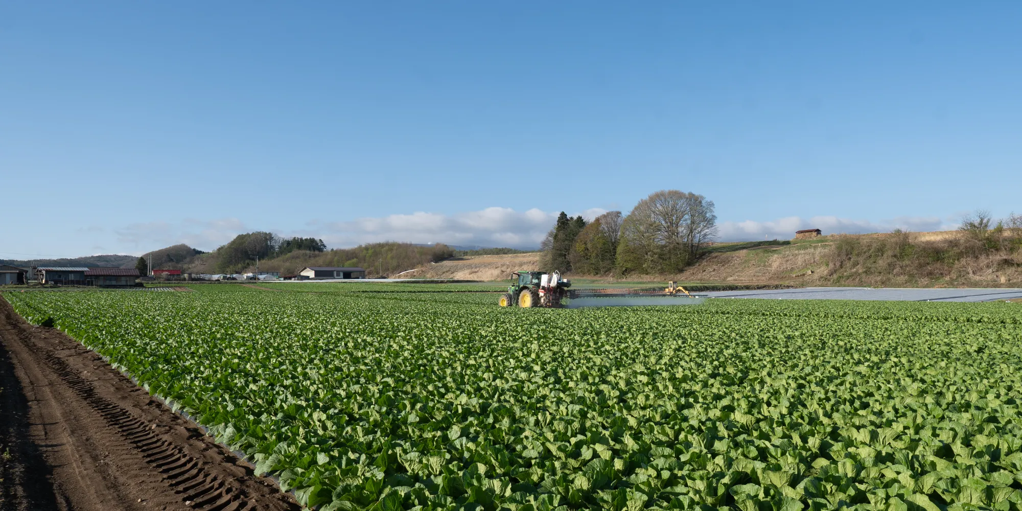 畑のドローン撮影