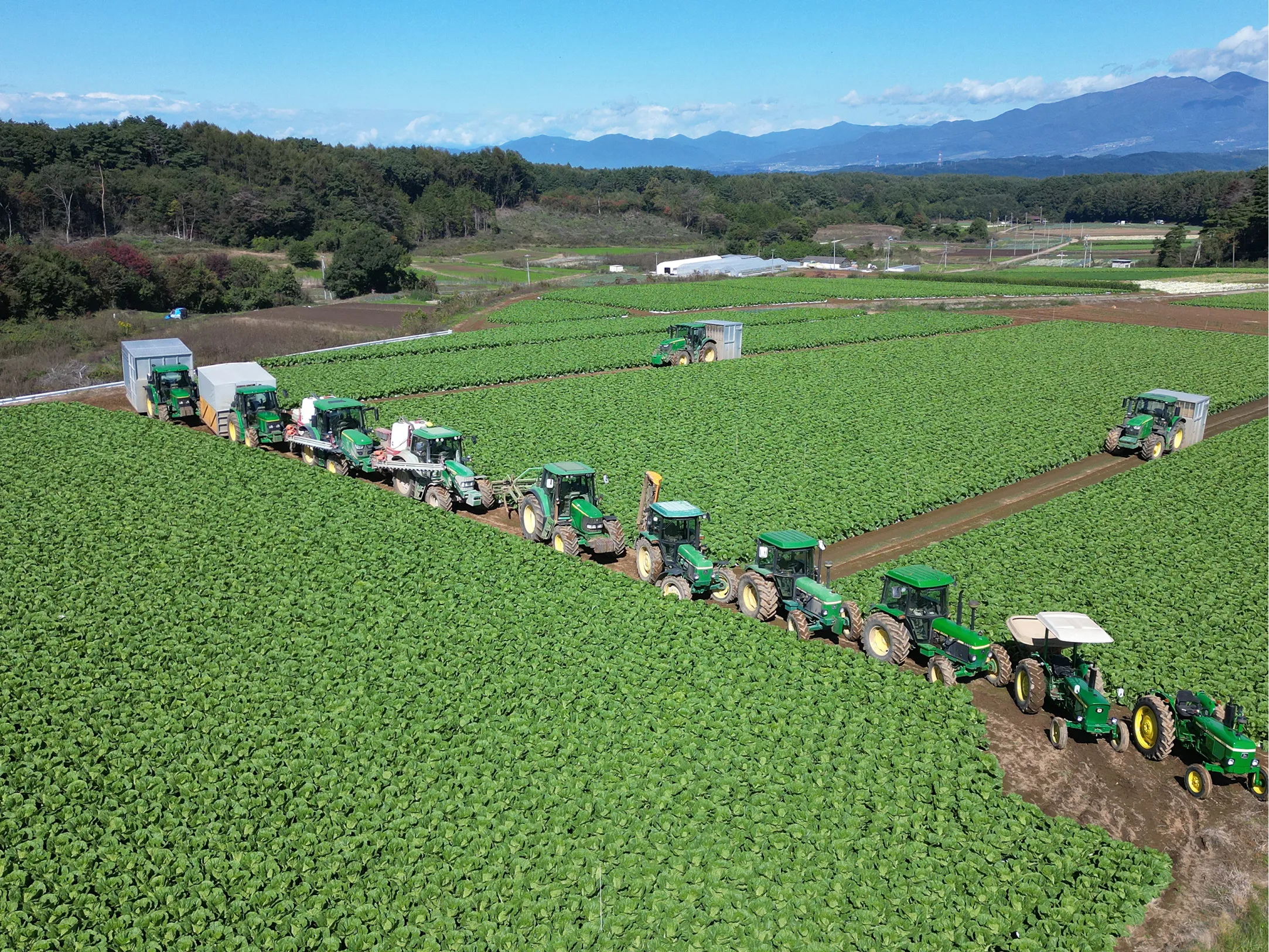 畑のドローン撮影