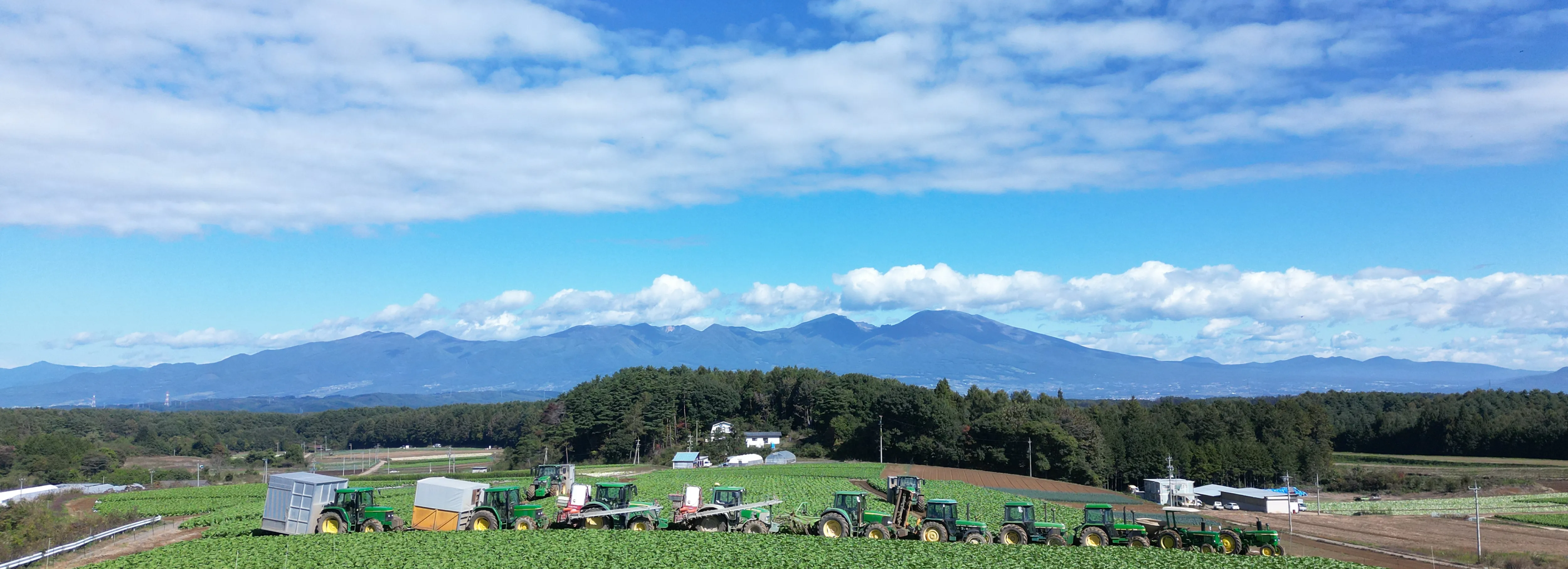 畑 横からの写真